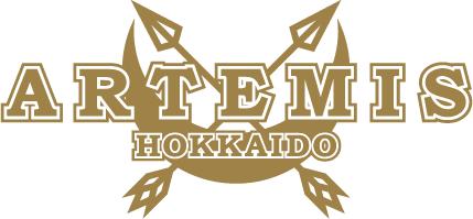 アルテミス北海道｜バレーボール